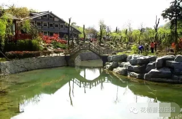 這個(gè)周末，隴南康縣花橋有大事要發(fā)生？
