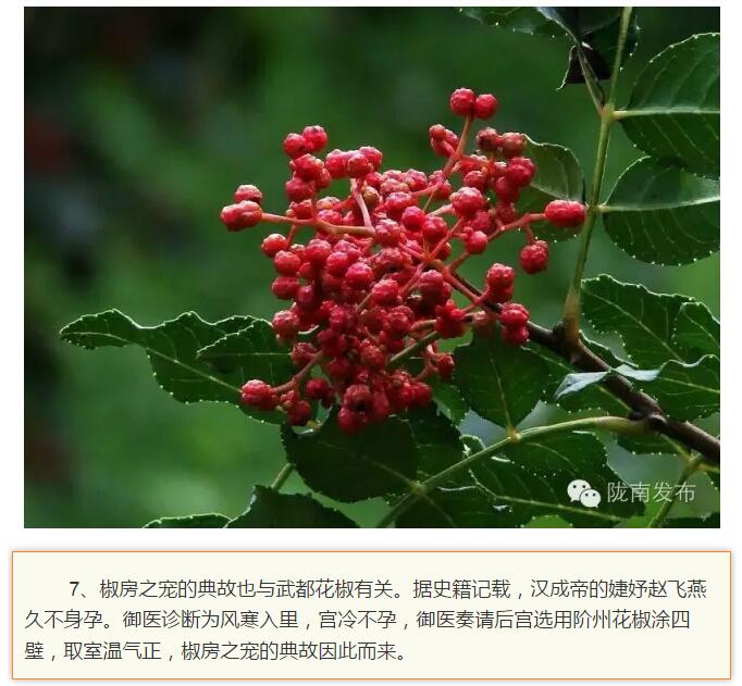 蘭渝鐵路最早由孫中山先生提出？在隴南，你不知道的事兒還有……