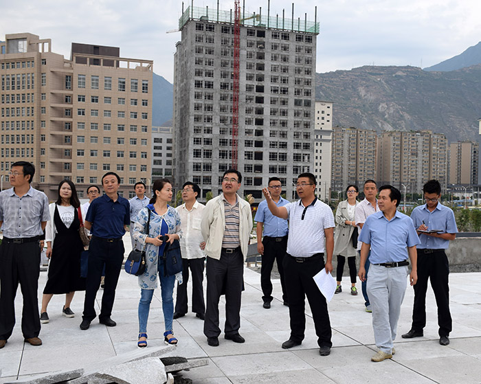 省、市聯(lián)合工作組蒞臨階州廣場檢查指導(dǎo)工作