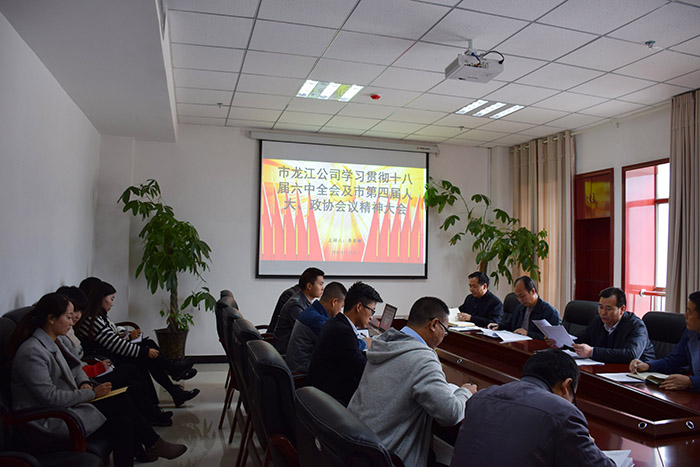 市龍江公司召開全體員工大會(huì)，專題傳達(dá)學(xué)習(xí)上級(jí)會(huì)議精神